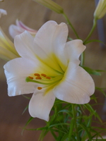 Foto: Dr. Peter Müller